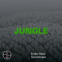 The Blaze - JUNGLE