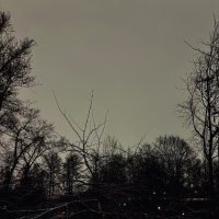 Russian Nightmare - Too Far Gone