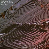 Goom Gum - Feel Me