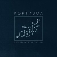 Kavabanga Depo Kolibri - Кортизол