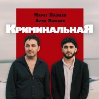 Марат Пашаян, Арни Пашаян - КРИМИНАЛЬНАЯ