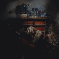 Дочь чаш - Шрам