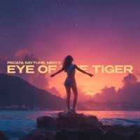 PACANI, Daytune, Miro k - Eye of the Tiger