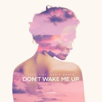 Leen Vice, Denis Bravo - Don't Wake Me Up