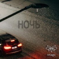 Imago - Ночь