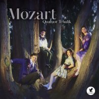 Quatuor Tchalik - String Quartet No. 17 in B-Flat Major, KV 458 "The Hunt": III. Adagio
