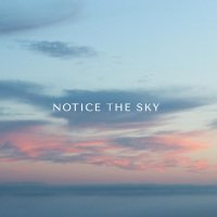 Alexander Demidov - Notice the sky