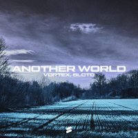 VØRTEX, SLCTD - Another World