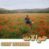 Charif Megarbane - Les Vents Dominants