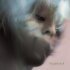 Kedr Livanskiy - Beast