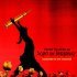 Daron Malakian, Scars On Broadway - Watch That Girl