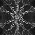 Deomid - Wonderered