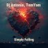 Dj Antonio, TomYam - Simply Falling