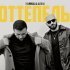 HammAli & Navai - Оттепель
