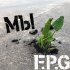 F.P.G - Мы