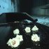 unoluv, uglyrockstar - Вокруг тебя