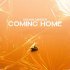 Roman Messer - Coming Home