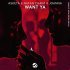 Asketa & Natan Chaim, Joanna - Want Ya