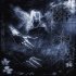 W1LFR - Твич