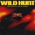 Beneath My Shade - Wild Hunt