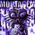 MXZI, DJ Samir, DJ Javi26 - MONTAGEM XONADA (Slowed)
