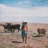 Moldanazar, Shashoo - arbir jurek