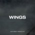 Alex Menco, Deeper Loft - Wings