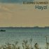 Hayzi - Sunny