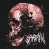 Liewsenn - SHADOW