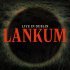 Lankum - The Rocky Road to Dublin (Edit)