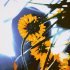 Sunsay - Гра
