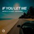 Dmitrii G, DJ Gazzz, DeepSummer - If You Let Me