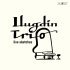 Ilugdin Trio, Dmitry Ilugdin, Victor Shestak, Petr Ivshin - Immersion (Live)
