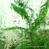 Liquid Planet Recordings - Rain & Waves