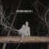 CRIER - you will be fine