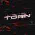 DJ DimixeR, FAVIA, Dmitrii G - Torn