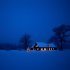 NEKXSTXZIS, DJ UNIVXRSEL - Snowflakes