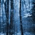 Iamalone - Let It Snow