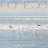 Resavoir, Matt Gold - Canopy