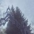 Beneath My Shade - Black Realm (Slowed)