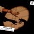 Imazee, Imran - Wait Before Goodbye