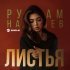 Рустам Нахушев - Листья