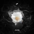 Avicii, Aluna - What Would I Change It To