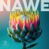 SYNFLO - Nawe